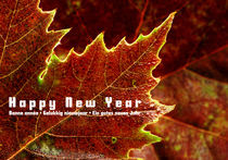 Happy New Year 1 von filipo-photography