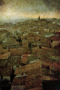 Calahorra roofs from the bell tower of Saint Andrew church von RicardMN Photography