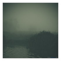 Foggy World von Perry Dolmans