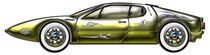 Gold and Silver Sports Car Matching Designer Graphics Package by Blake Robson