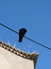 Sitting on the line von Eva-Maria Steger