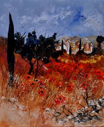 Provence 561111 von pol ledent