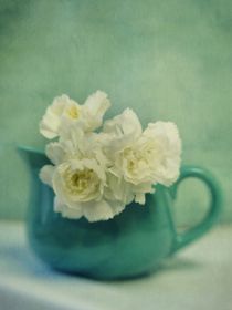 carnations in a jar von Priska  Wettstein