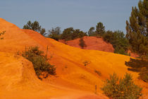 Colours of Provence von safaribears