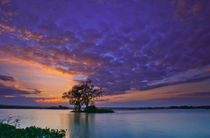 Purple Sky von Thommy Kusbin