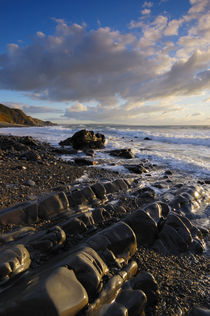 Sandymouth Beach, Cornwall von Craig Joiner