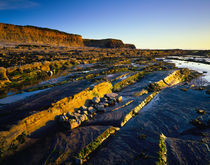 Kilve Beach, Somerset, England by Craig Joiner