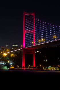 Istanbul Bosphorus Bridge von Evren Kalinbacak