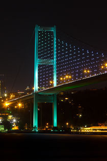 Istanbul Bosphorus Bridge von Evren Kalinbacak