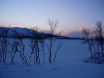 Schneelandschaft in Norwegen by Katy Haecker