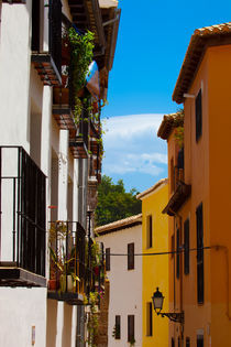 Colorful Street In Granada Spain by Marc Garrido Clotet