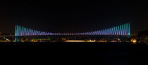 Istanbul Bosphorus Bridge von Evren Kalinbacak