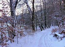 Winterwanderung von Heidrun Carola Herrmann