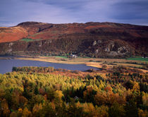 Lake District Autumn Colour, England von Craig Joiner