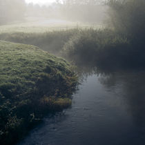 down by the river by morningside