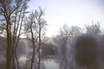 flooded von morningside