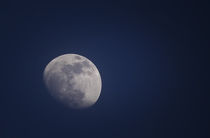 moon by joegiorgino