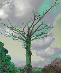 Tree in a Storm von Andreas Charitonos