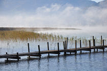 Nebel am Tegernsee von Frank Rother