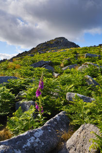 Sheeps Tor, Dartmoor, England by Craig Joiner