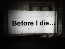 Before I die von Eva-Maria Steger