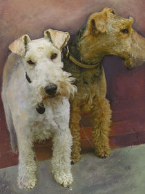 Two Schnauzers by Grainne White