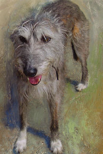 Wolfhound von Grainne White