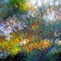 Ode to Monet von Kitsmumma Fine Art Photography