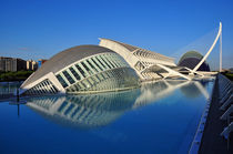 Valencia, Ciudad de las Artes y las Ciencias 2 von Frank Rother