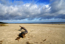 Strandgut by Jens Uhlenbusch