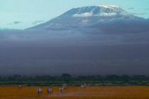 Kilimanjaro by Víctor Bautista