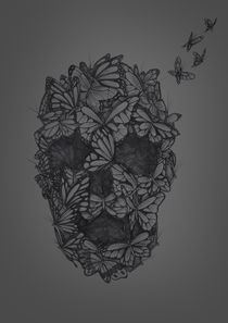 Exstinctio Papiliones by Jhonatan Silva