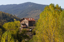 Wooden Country House von Evren Kalinbacak