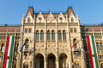 Hungarian Parliament Building von Evren Kalinbacak