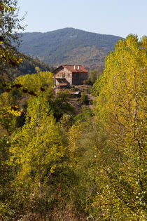 Wooden Country House by Evren Kalinbacak