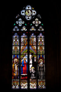 Stained-glass Window, Tours von safaribears