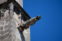 Gargoyle in Tours von safaribears