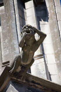 Gargoyle in Tours von safaribears