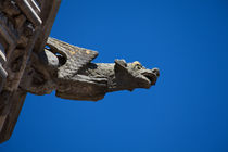 Gargoyle in Amboise by safaribears