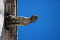 Gargoyle in Amboise von safaribears