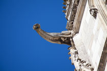 Gargoyle in Amboise von safaribears