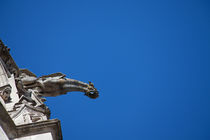 Gargoyle in Amboise by safaribears