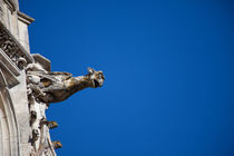 Gargoyle in Amboise von safaribears