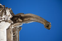 Gargoyle in Amboise by safaribears