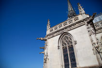 Gargoyles on the Chapel by safaribears