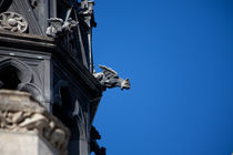 Gargoyle in Amboise von safaribears