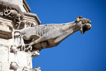 Gargoyle in Amboise by safaribears