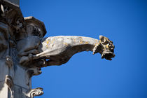 Gargoyle in Amboise von safaribears