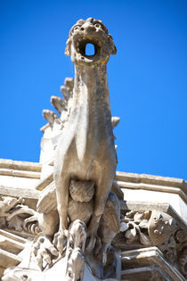 Gargoyle in Amboise von safaribears