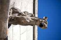 Gargoyle in Amboise by safaribears